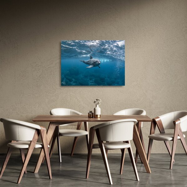 Staklena slika - Dupin ispod površine mora (70x50 cm)