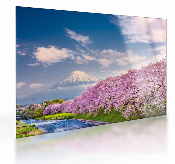 Staklena slika - Japanski proljetni krajolik (70x50 cm)