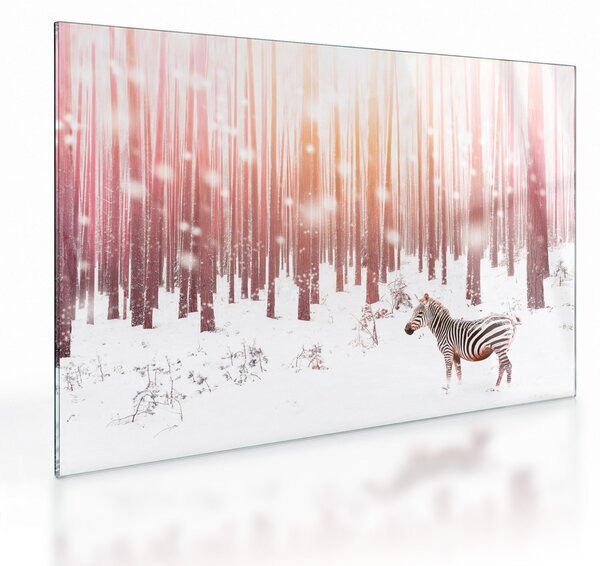 Staklena slika - Zebra u snježnoj šumi (70x50 cm)