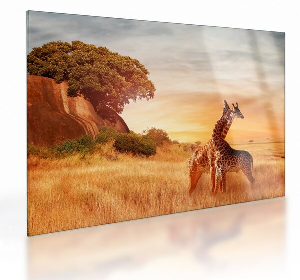 Staklena slika - Žirafe u Africi (70x50 cm)