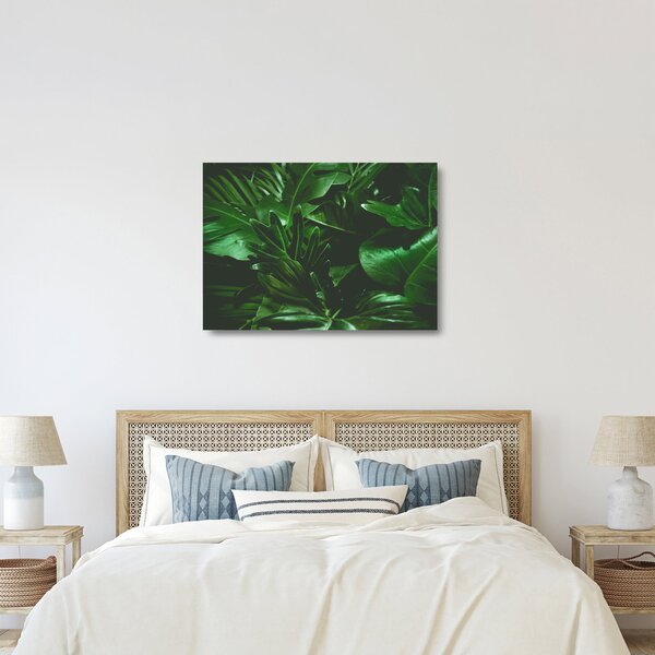 Staklena slika - Lišće palme (70x50 cm)