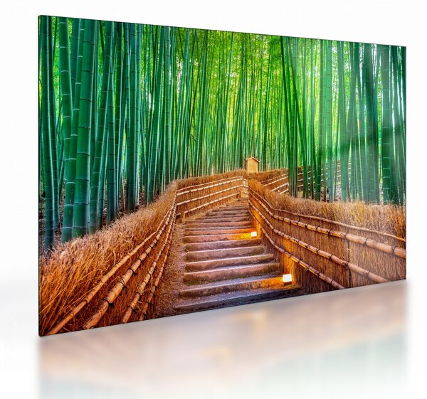 Staklena slika - Šuma japanskog bambusa (70x50 cm)