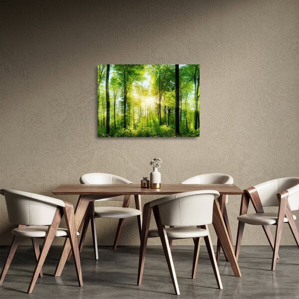 Staklena slika - Zora u šumi (70x50 cm)