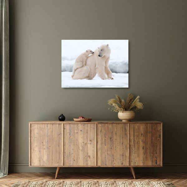 Staklena slika - Polarni medvjedi (70x50 cm)