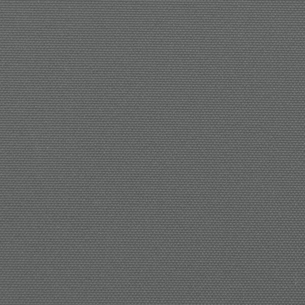 Uvlačiva bočna tenda 140 x 1000 cm antracit - Antracit 140 x 1000 cm 1 Antracit