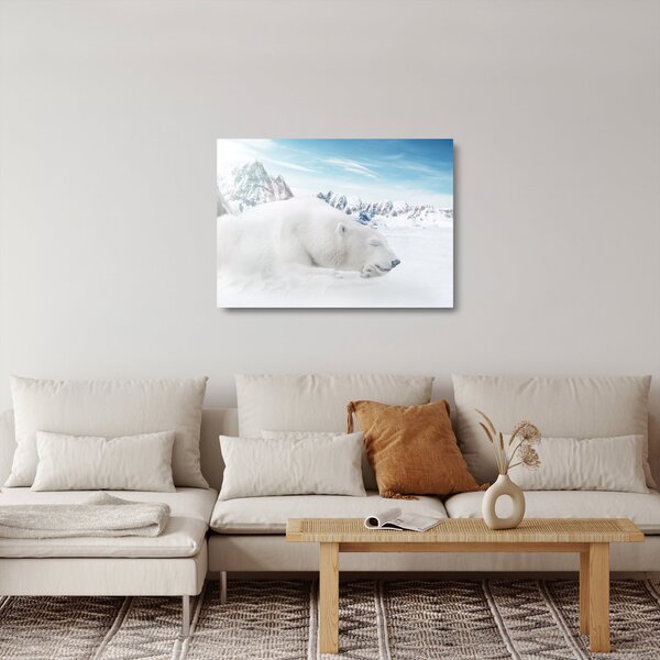 Staklena slika - Polarni medvjed (70x50 cm)