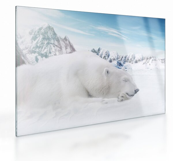 Staklena slika - Polarni medvjed (70x50 cm)