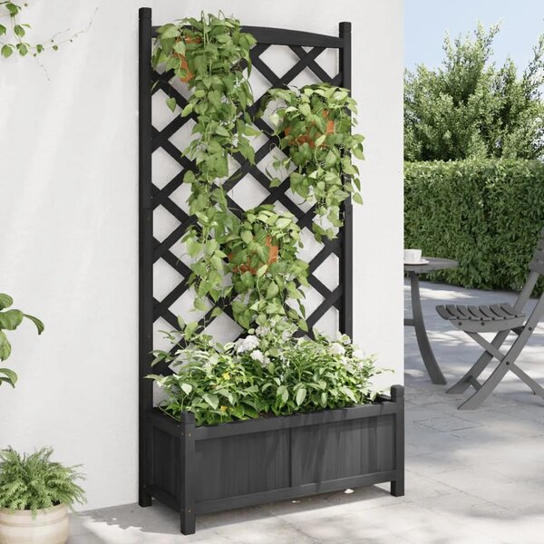 Sadilica s rešetkom crna 75 x 35 x 150 cm od masivne jelovine - Crna 75 x 35 x 150 cm 1 s rešetkom