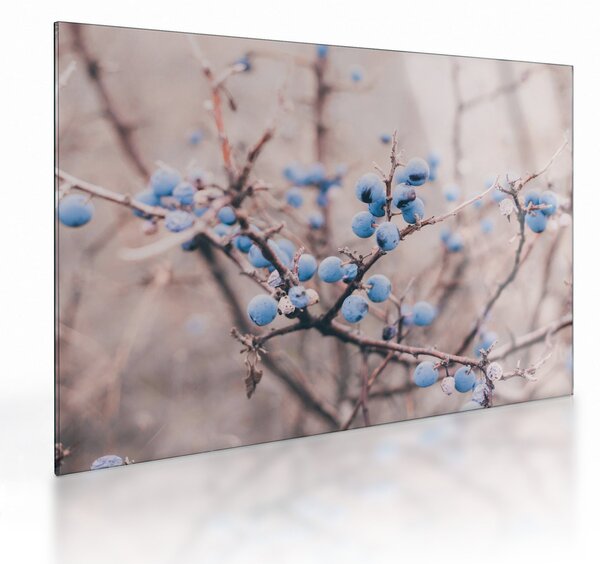 Staklena slika bobica na grmu (70x50 cm)