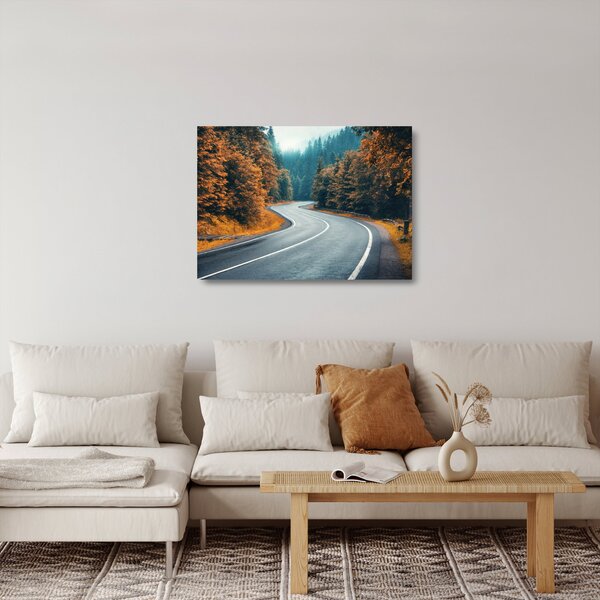 Staklena slika - Vijugava cesta (70x50 cm)