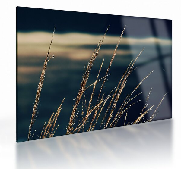 Staklena slika trava (70x50 cm)