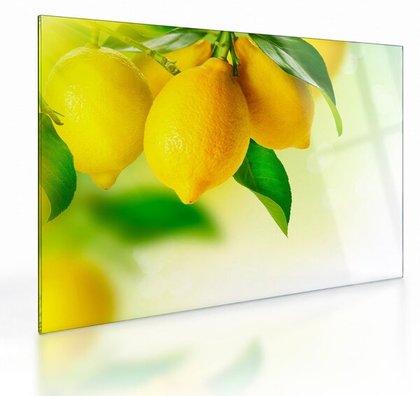 Staklena slika limuna (70x50 cm)