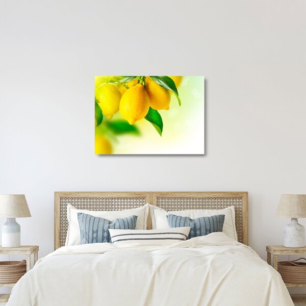 Staklena slika limuna (70x50 cm)
