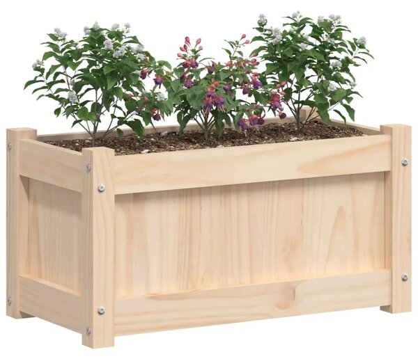 Vrtna sadilica 60x31x31 cm od masivne borovine - Prirodna boja bora 1 Prirodna boja bora 1