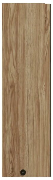 Kupaonski ormarić s ogledalom i LED svjetlom boja hrasta - Boja hrasta 60 x 13 x 52 cm 1 Boja hrasta