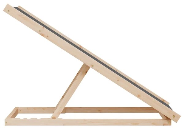 Rampa za pse siva 100 x 40 cm od masivne jelovine - Siva 100 x 40 cm 100 x 40 cm