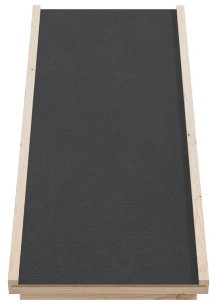 Rampa za pse siva 100 x 40 cm od masivne jelovine - Siva 100 x 40 cm 100 x 40 cm