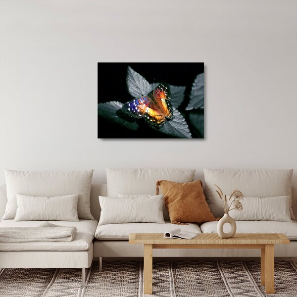Staklena slika leptira (70x50 cm)