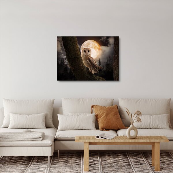 Staklena slika sove kukuvije (70x50 cm)
