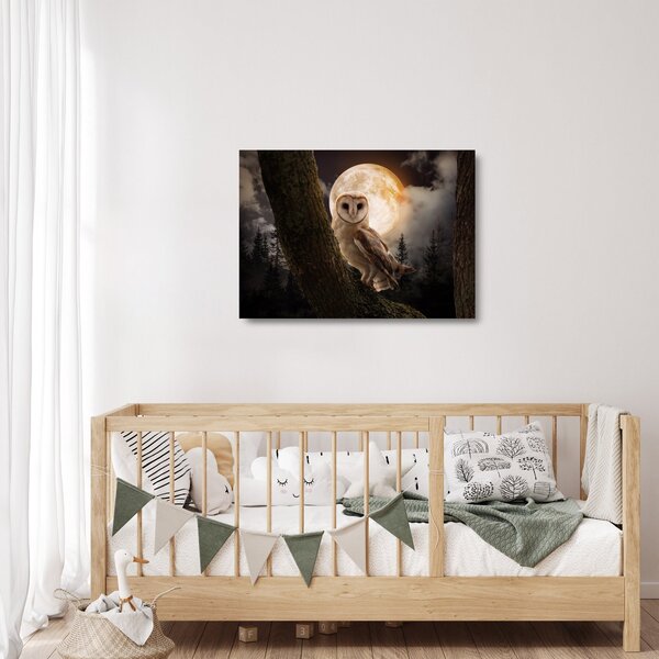 Staklena slika sove kukuvije (70x50 cm)