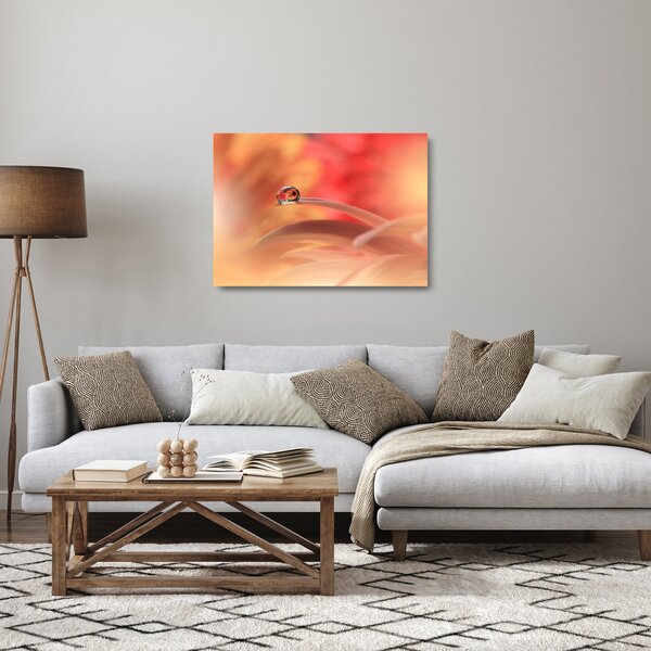 Staklena slika cvjetne kapi rose (70x50 cm)
