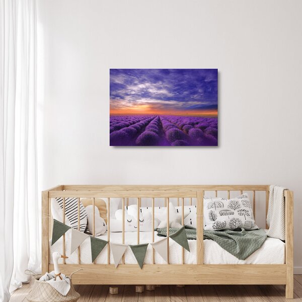 Staklena slika polja lavande (70x50 cm)