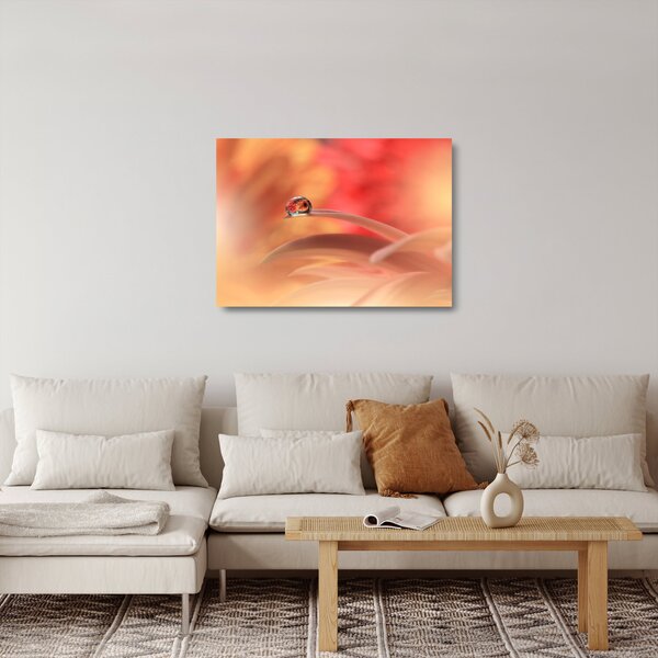 Staklena slika cvjetne kapi rose (70x50 cm)