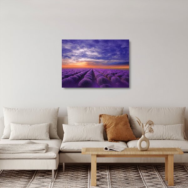 Staklena slika polja lavande (70x50 cm)