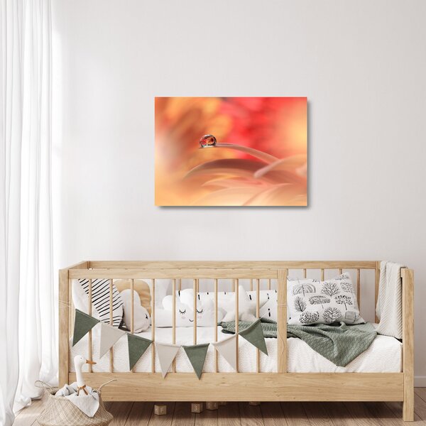 Staklena slika cvjetne kapi rose (70x50 cm)