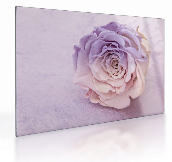 Staklena slika detalja cvijeta ruže (70x50 cm)