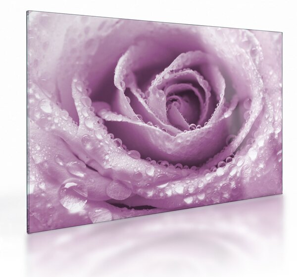 Staklena slika detalja cvijeta ruže (70x50 cm)