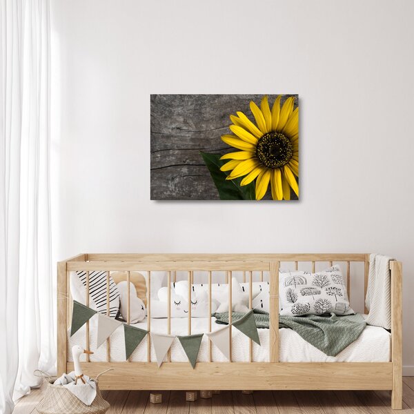 Staklena slika - Cvijet suncokreta (70x50 cm)