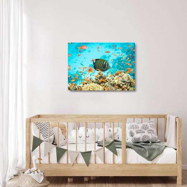 Staklena slika podmorskog svijeta (70x50 cm)
