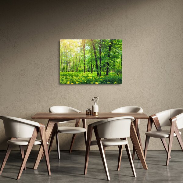 Staklena slika - Proljetna listopadna šuma (70x50 cm)