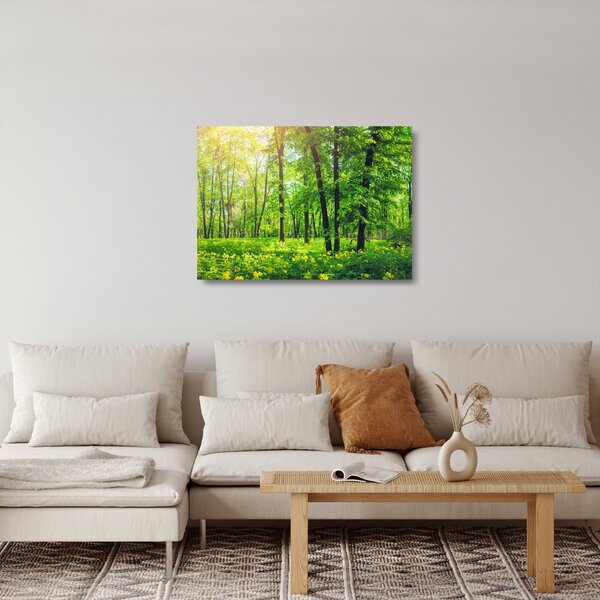 Staklena slika - Proljetna listopadna šuma (70x50 cm)
