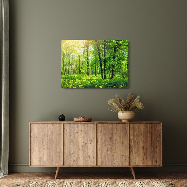 Staklena slika - Proljetna listopadna šuma (70x50 cm)