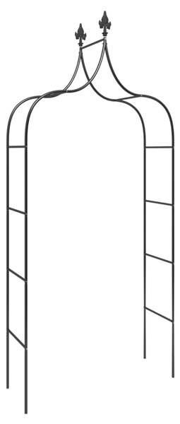 Vrtni lukovi 2 kom crni 120 x 38 x 260 cm čelični