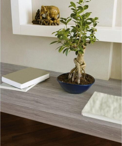 Samoljepljiva folija Hrast scheffield sivi 200-3186 d-c-fix, širina 45 cm