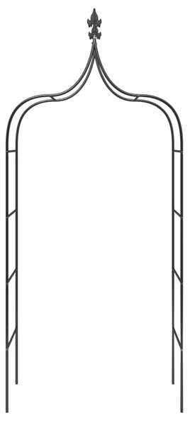 Vrtni lukovi 2 kom crni 120 x 38 x 260 cm čelični