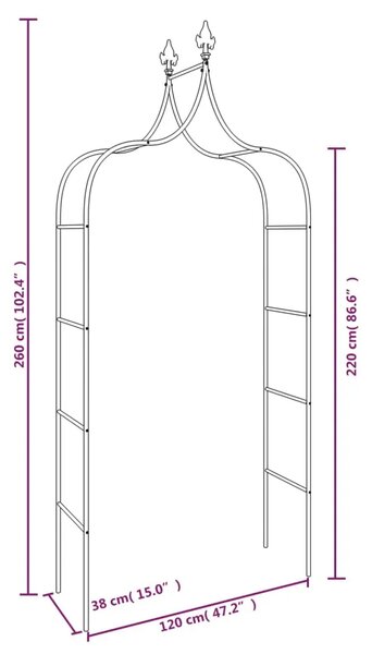 Vrtni lukovi 2 kom crni 120 x 38 x 260 cm čelični