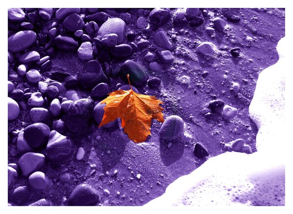 Staklena slika - Morska plaža (70x50 cm)