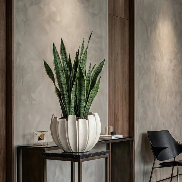 Ukrasna posuda Linea 41 × 35 cm beige - krem - 31 - 50 cm - Fiberglass - 31 do 50cm