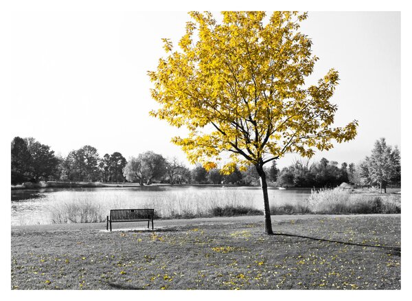 Staklena slika - Odmor u parku (70x50 cm)