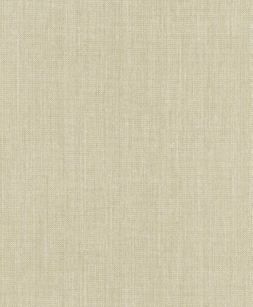 Tapeta za zid Moneta 901084 | Ljepilo besplatno