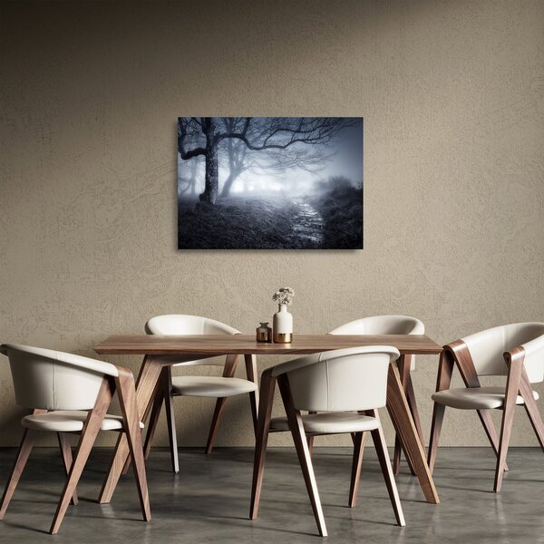 Staklena slika - Put u magli (70x50 cm)