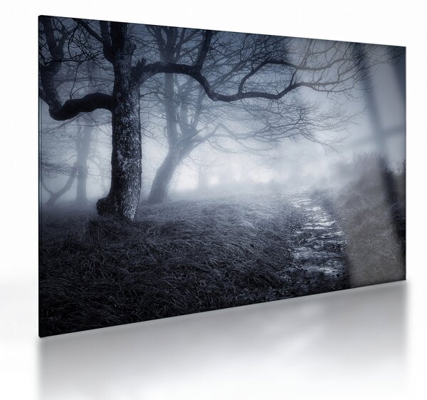 Staklena slika - Put u magli (70x50 cm)