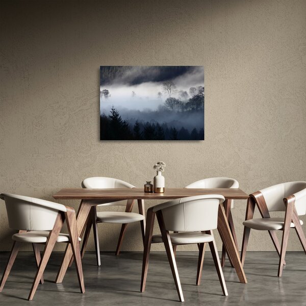 Staklena slika magle nad šumom (70x50 cm)
