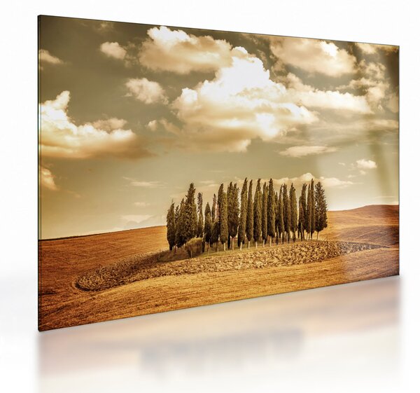 Staklena slika proplanka (70x50 cm)