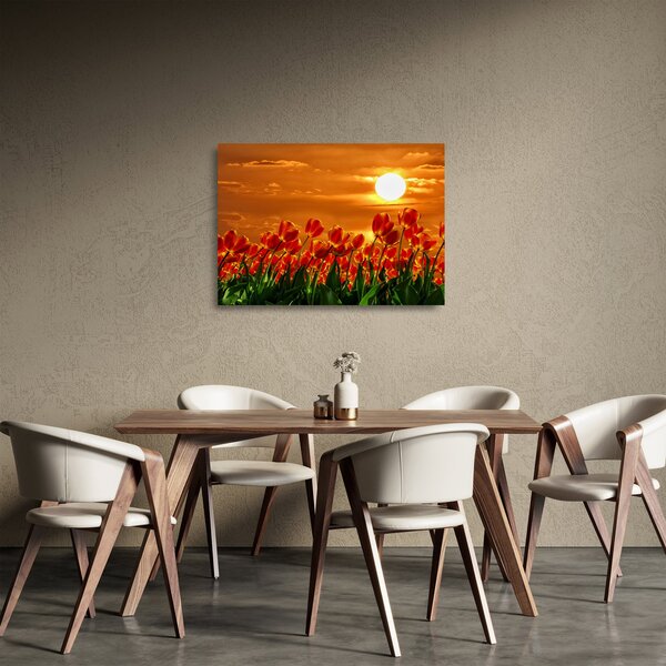 Staklena slika cvatućeg polja s tulipanima (70x50 cm)