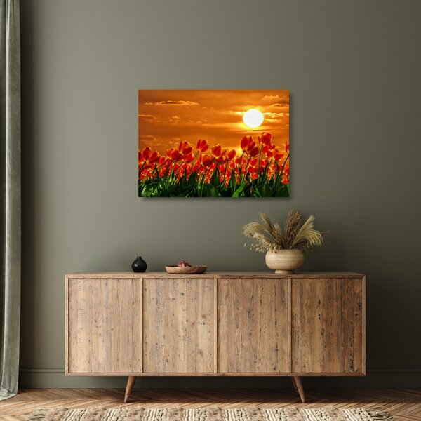 Staklena slika cvatućeg polja s tulipanima (70x50 cm)
